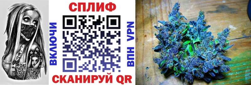 Бошки марихуана ГИДРОПОН  закладки  Кадников 